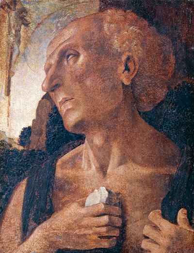 圣杰罗姆，归功于卢卡-西格诺雷利（约1441或1450-1523）。 作者 Luca (attr.to) Signorelli