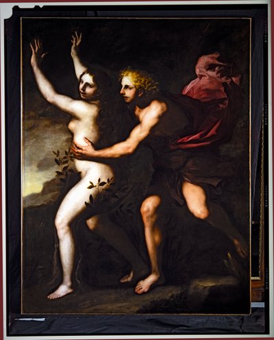 阿波罗与达芙妮（布面油画） 作者 Luca Giordano