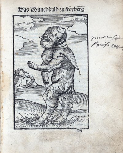 弗赖贝格的僧侣小牛（Das Moenchskalb zu Freiberg），由克拉纳赫，卢卡斯，长者（1472-1553）创作。木刻 作者 老卢卡斯·克拉纳赫