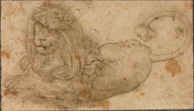 Study of a Lion 作者 老卢卡斯·克拉纳赫