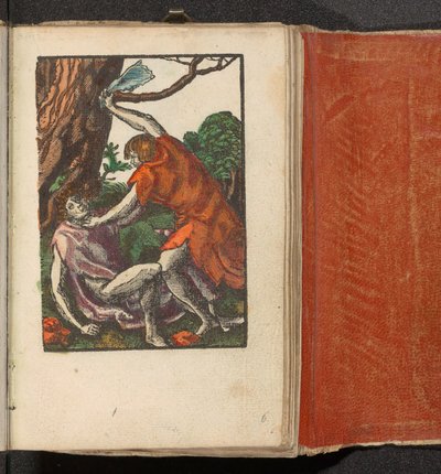 该隐杀死亚伯
愚蠢的激情 作者 Lucas van Leyden (工作室)