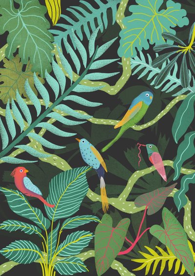 异国情调，2016（数字） 作者 露西·巴纳吉