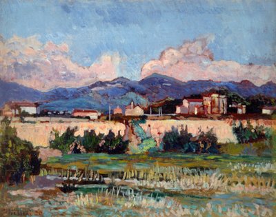 阿尔登扎的房屋和花园，由Ulvi Liegi (1858-1939)创作，板上油画，27x34厘米 作者 路易吉·列维