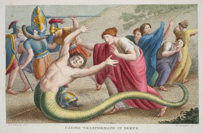 卡德摩斯成为Serpent或Cadmo Transformato in Serpe，Book IV，插图来自Ovid&39;s Metamorphoses，佛罗伦萨，1832年（手工彩色雕刻） 作者 路易吉·阿德莫洛