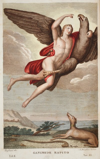 Ganymede进入天堂或Ganimede Rapito，书籍X，插图来自Ovid的Metamorphoses，佛罗伦萨，1832年（手工彩色雕刻） 作者 路易吉·阿德莫洛