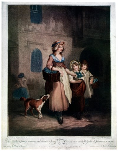 两束一分钱，报春花，两束一分钱，1793年，1929年 作者 路易吉·夏瓦尼蒂（Luigi Schiavonetti）