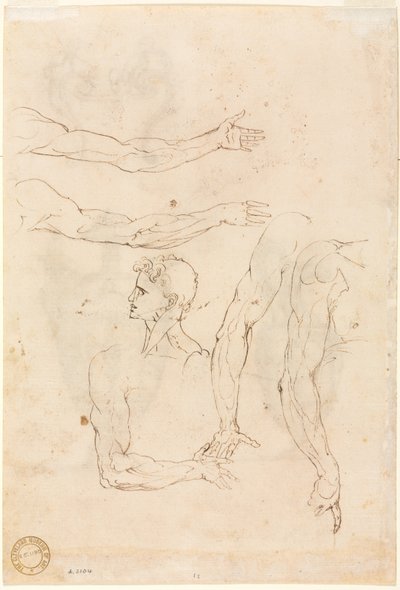 1500年代中期，五臂素描和头部反画。 作者 卢齐奥·罗马诺（Luzio Romano）