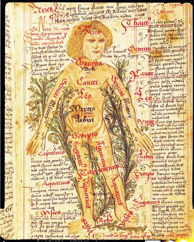 星星对人体疾病的影响，来自Tractatus de Pestilencia 作者 M，阿尔比克