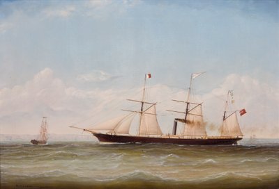 ss Western（ss Western的油画） 作者 麦克拉克伦