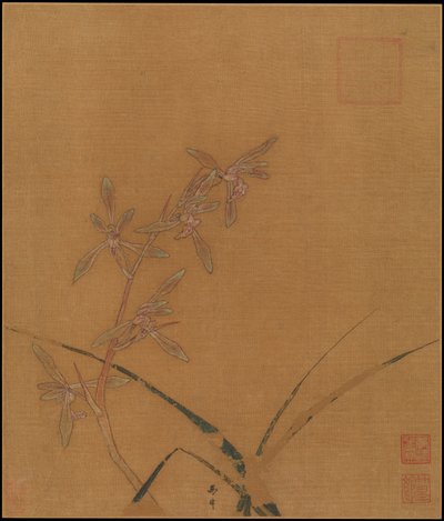 兰花，13世纪的第二季度。 作者 马琳