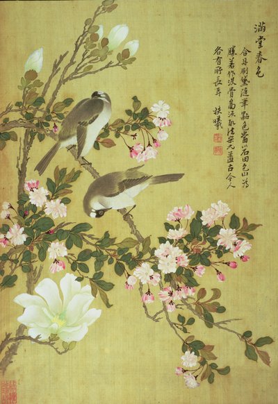 海棠，木兰和百头鸟 作者 马元玉