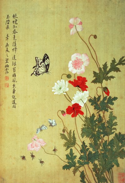罂粟，蝴蝶和蜜蜂 作者 马元玉