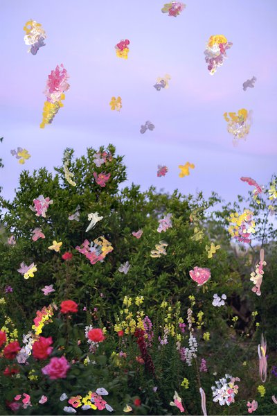 抽象的花朵，2019 年（档案颜料印刷品上的丙烯颜料） 作者 马德琳·格罗斯