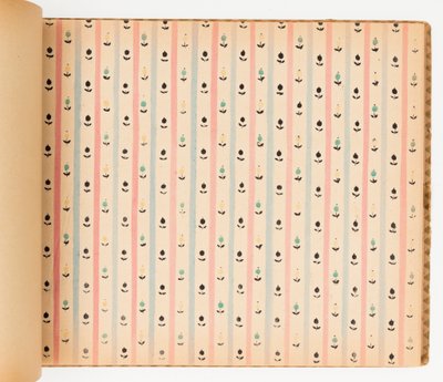 样品书，帕特里亚花式纸 作者 Maison Maunoury et Cie