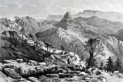 在Dongolo附近的游行，由James Ferguson雕刻，1868年 作者 主要AGF霍格
