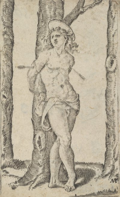 圣塞巴斯蒂安被绑在被箭射穿的树上，来自 "Piccoli Santi "系列...，约1500-1527。 作者 马尔坎通尼奥·莱蒙迪