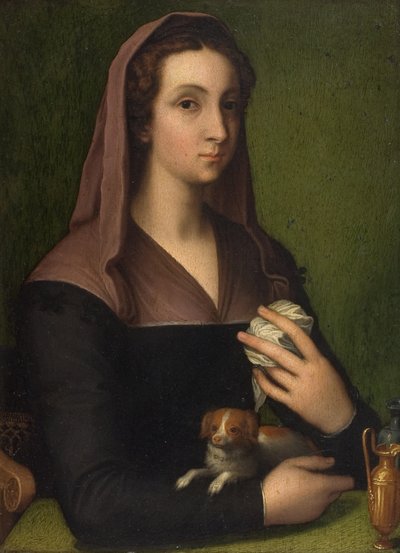 一位女士的肖像（面板油画） 作者 Marcello (追随者) Venusti