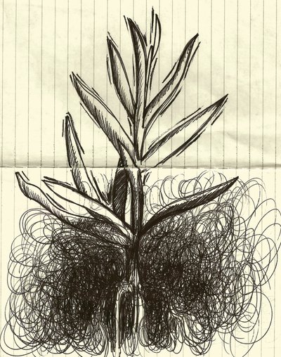 植物，2014 年（纸上水墨） 作者 马尔科·坎佩德利