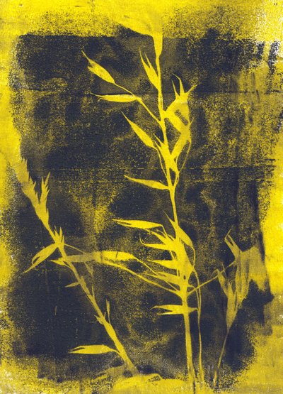 黄叶》，2024 年（单版画） 作者 马尔科·坎佩德利