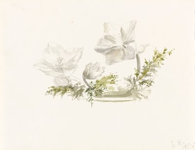 插花研究（石墨、水彩） 作者 玛格丽特·路易莎·赫歇尔