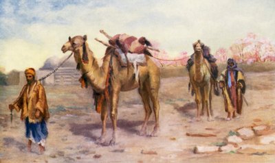 大马士革郊外的骆驼和车夫（彩色石版画） 作者 玛格丽特·托马斯