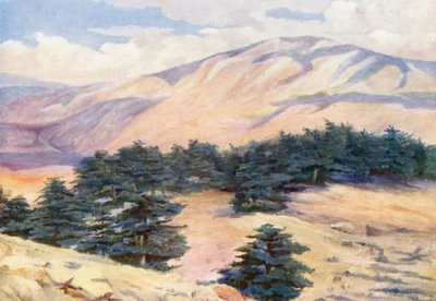 雪松和 Dehr el Kodib 总览（彩色石版画） 作者 玛格丽特·托马斯