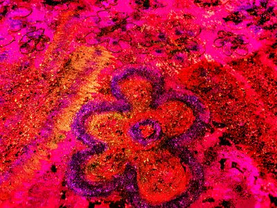 2050年火星上有花吗？ 作者 玛格丽特乌利亚特