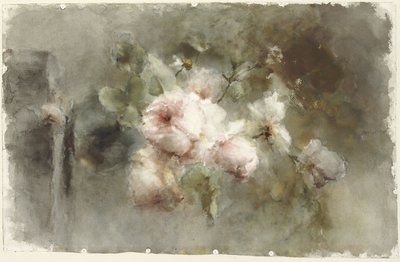 玫瑰花瓶 作者 玛格丽莎·罗森布姆