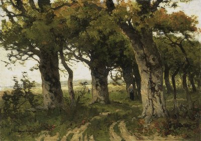 橡树大道在夏末。 1880-1900 作者 玛丽亚·比尔德斯·范博斯