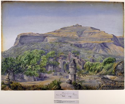 印度巴罗达附近的 Champaneer 作者 玛丽安·诺斯（Marianne North）