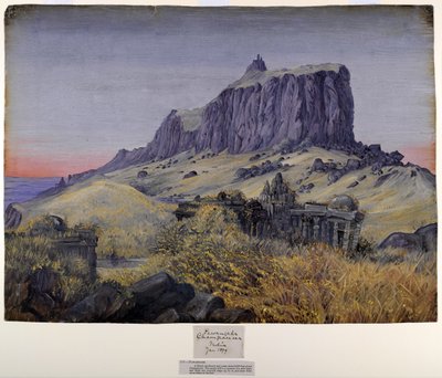 帕旺哈 作者 玛丽安·诺斯（Marianne North）