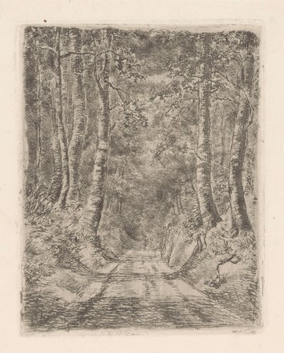 空心路旁的森林 作者 Marie Adolphine van der Goes van Dirxland