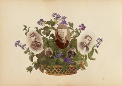 B夫人的相册，1870年代。 作者 玛丽·布兰奇（Marie Blanche）汉娜（Hennenelle Fournier）