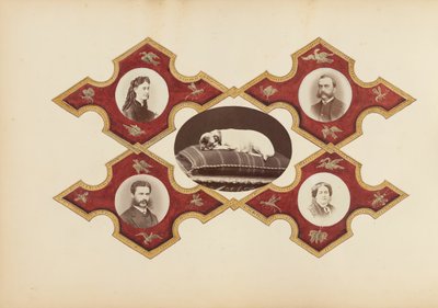 B夫人的相册，1870年代。 作者 玛丽·布兰奇（Marie Blanche）汉娜（Hennenelle Fournier）