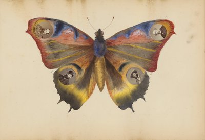 B夫人的相册，1870年代。 作者 玛丽·布兰奇（Marie Blanche）汉娜（Hennenelle Fournier）