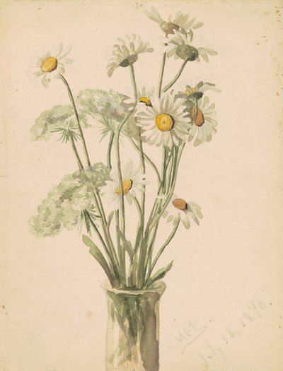 花瓶中的雏菊和女王安妮花边，1890年（编织纸上的水彩和石墨） 作者 Marietta Minnegerode安德鲁斯