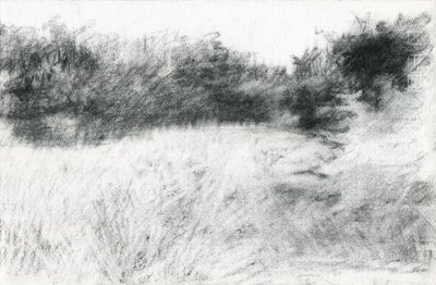 风景，2021 年（纸上炭笔） 作者 玛丽娜·法尔科