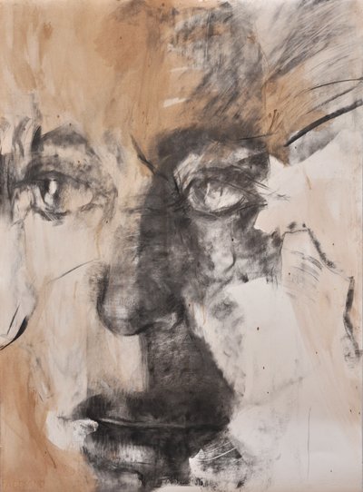 凝视》，2014 年（纸上混合媒介） 作者 玛丽娜·法尔科
