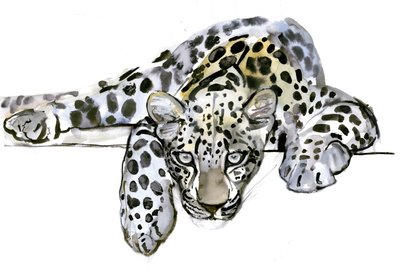 阿拉伯豹，2008年 作者 马克·阿德灵顿