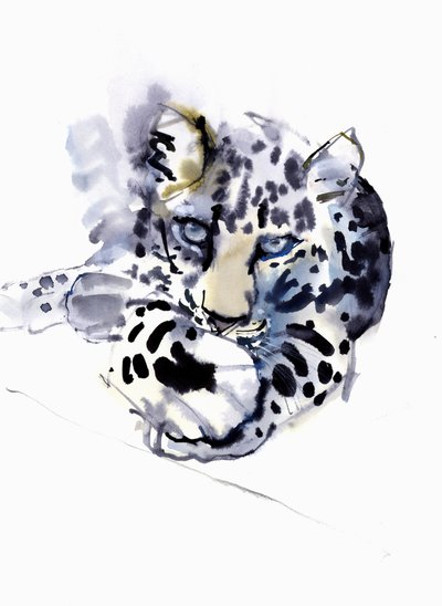 阿拉伯豹，2008年 作者 马克·阿德灵顿