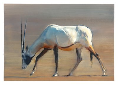 阿拉伯羚羊，2010年（纸上油） 作者 马克·阿德灵顿