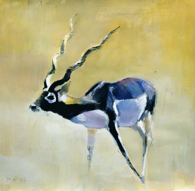 Black Buck，Velavadar，1997年（纸上混合媒体） 作者 马克·阿德灵顿