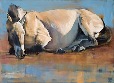 蓝天日，（普氏原羚），2014， 作者 Mark Adlington
