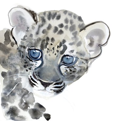 Cub，2015，（纸上水彩） 作者 马克·阿德灵顿