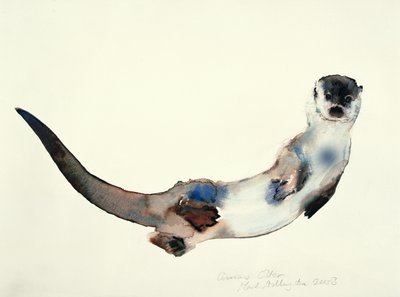 好奇的水獭，2003年 作者 Mark Adlington