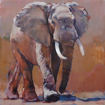 Dry Season, Loisaba, 2018 作者 马克·阿德灵顿