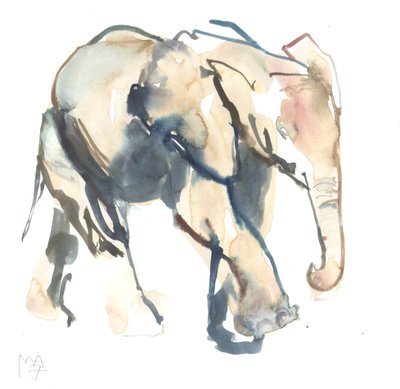 Elephant calf, Loisaba, 2017 (watercolour on paper)) 作者 马克·阿德灵顿
