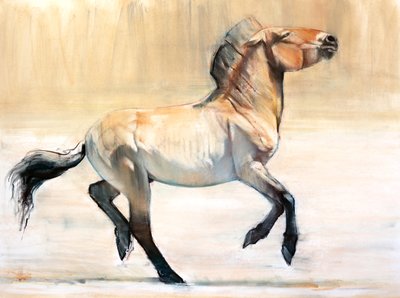 Equus（Przewalski），2014，（粉彩和木炭纸） 作者 Mark Adlington