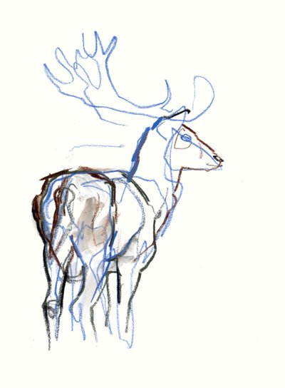 雄鹿，2021 年 作者 马克·阿德灵顿