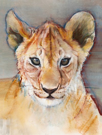 Fierce cub, Masai Mara, 2019 作者 马克·阿德灵顿